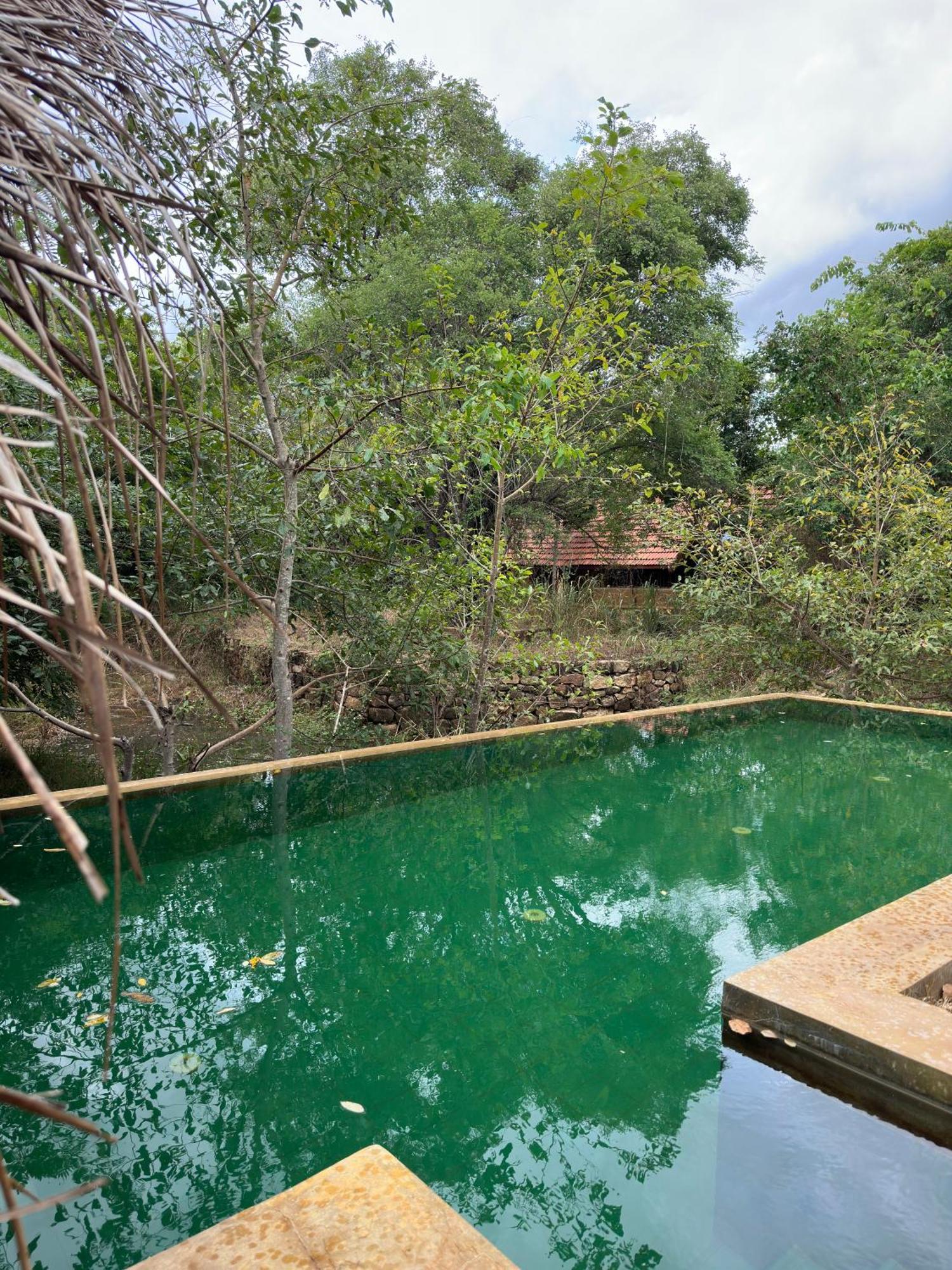 Hotel Athreya Ayurveda Ashram à Habarana Extérieur photo