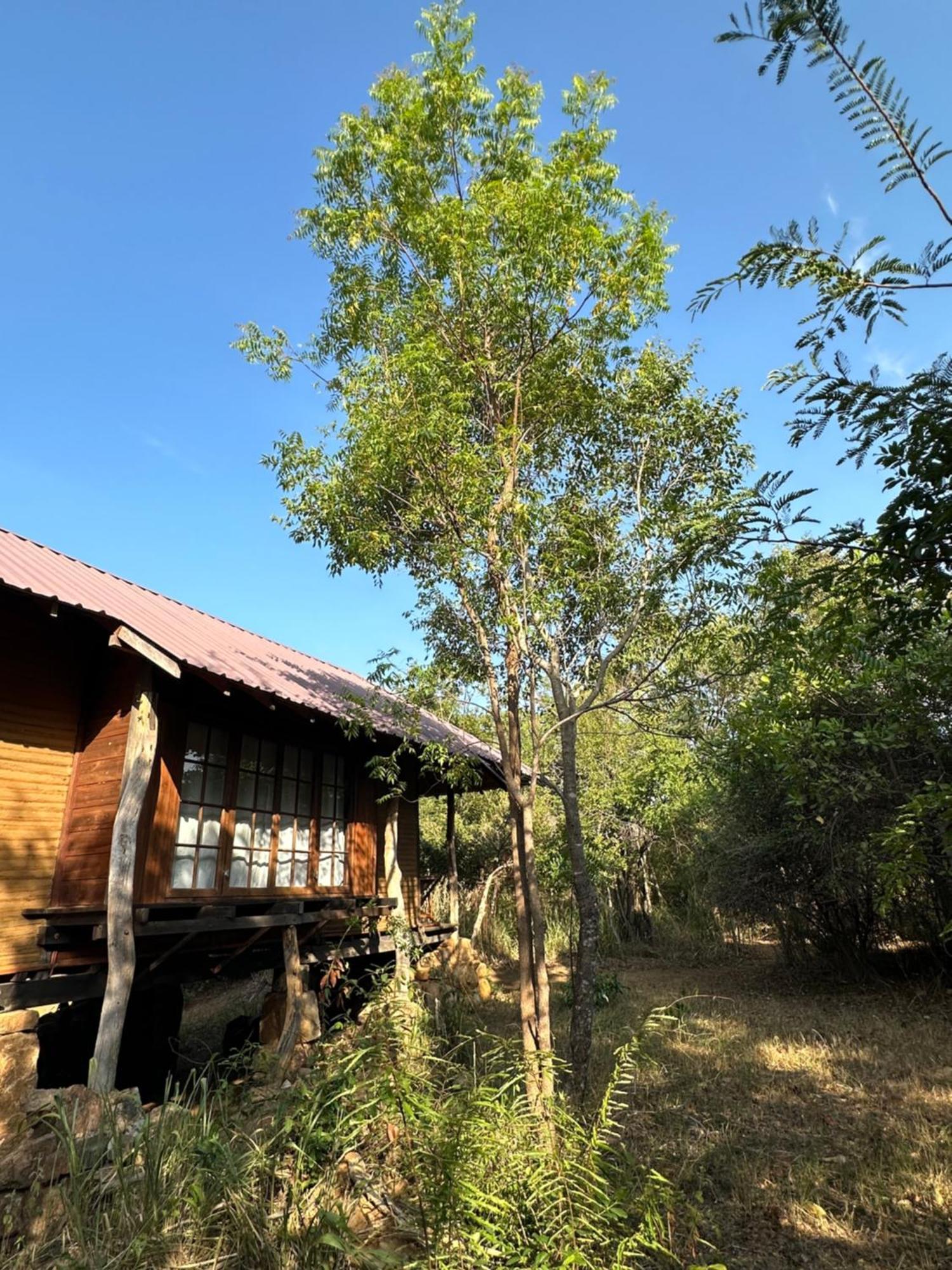 Hotel Athreya Ayurveda Ashram à Habarana Extérieur photo