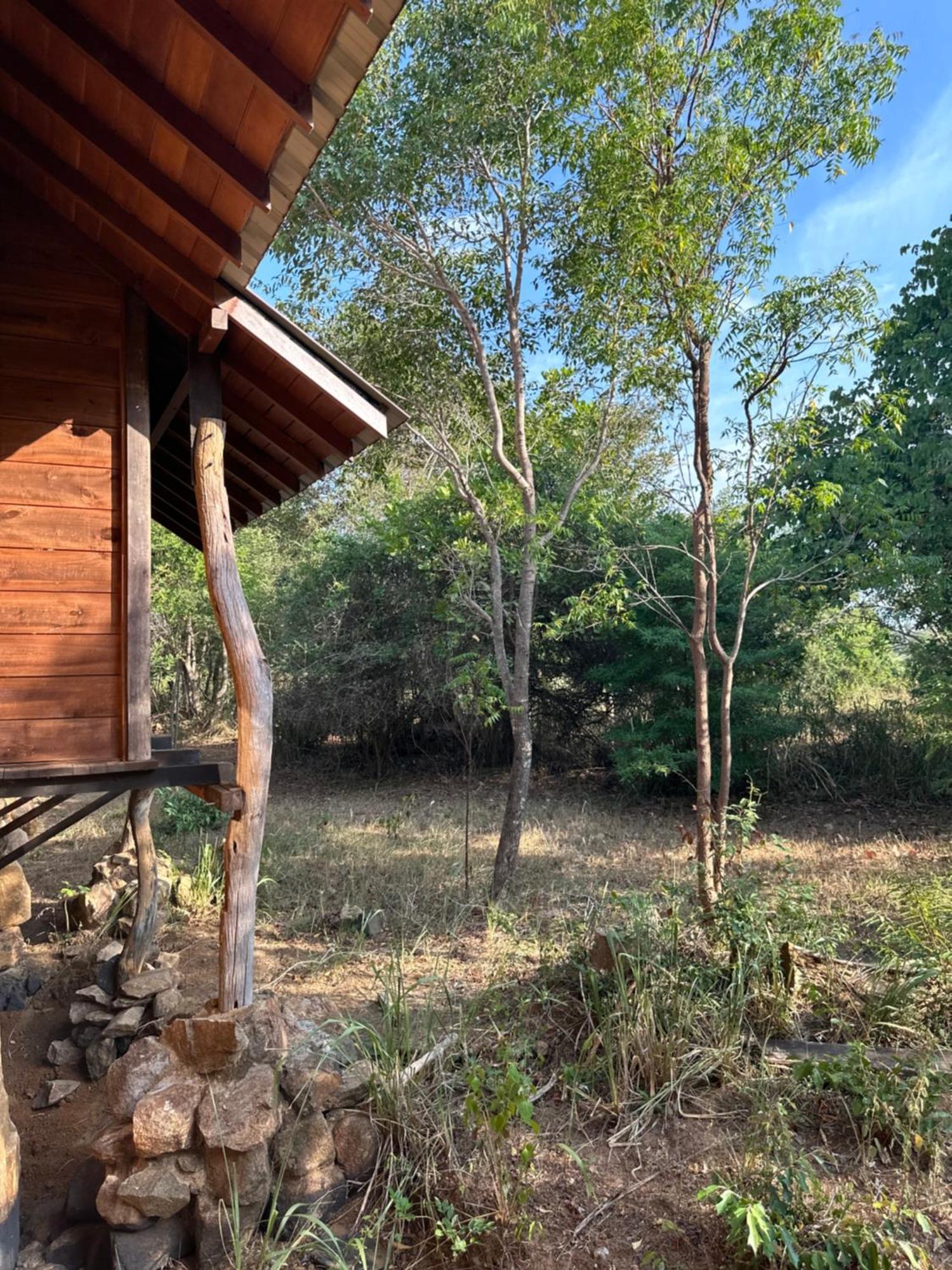Hotel Athreya Ayurveda Ashram à Habarana Extérieur photo