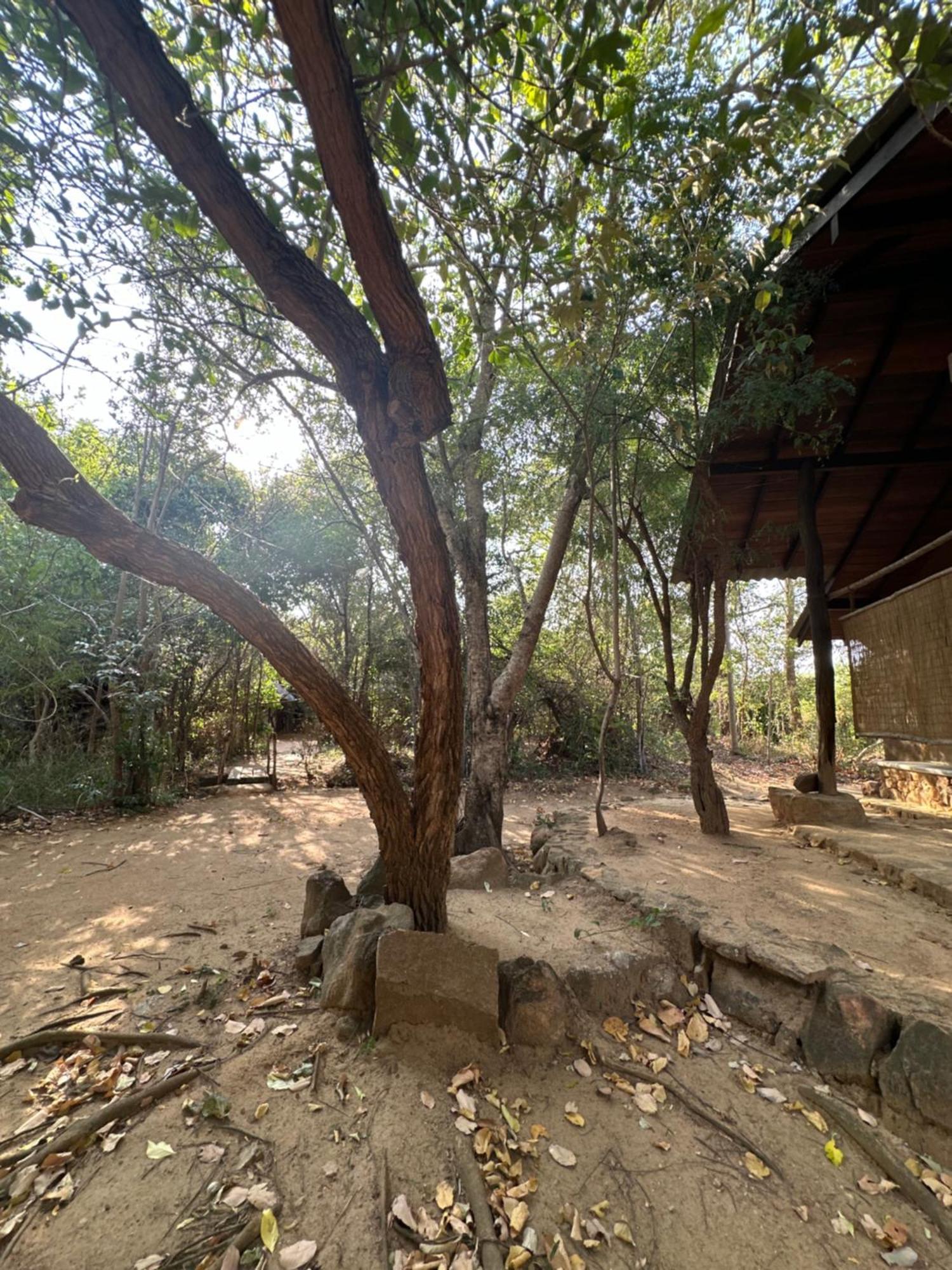 Hotel Athreya Ayurveda Ashram à Habarana Extérieur photo
