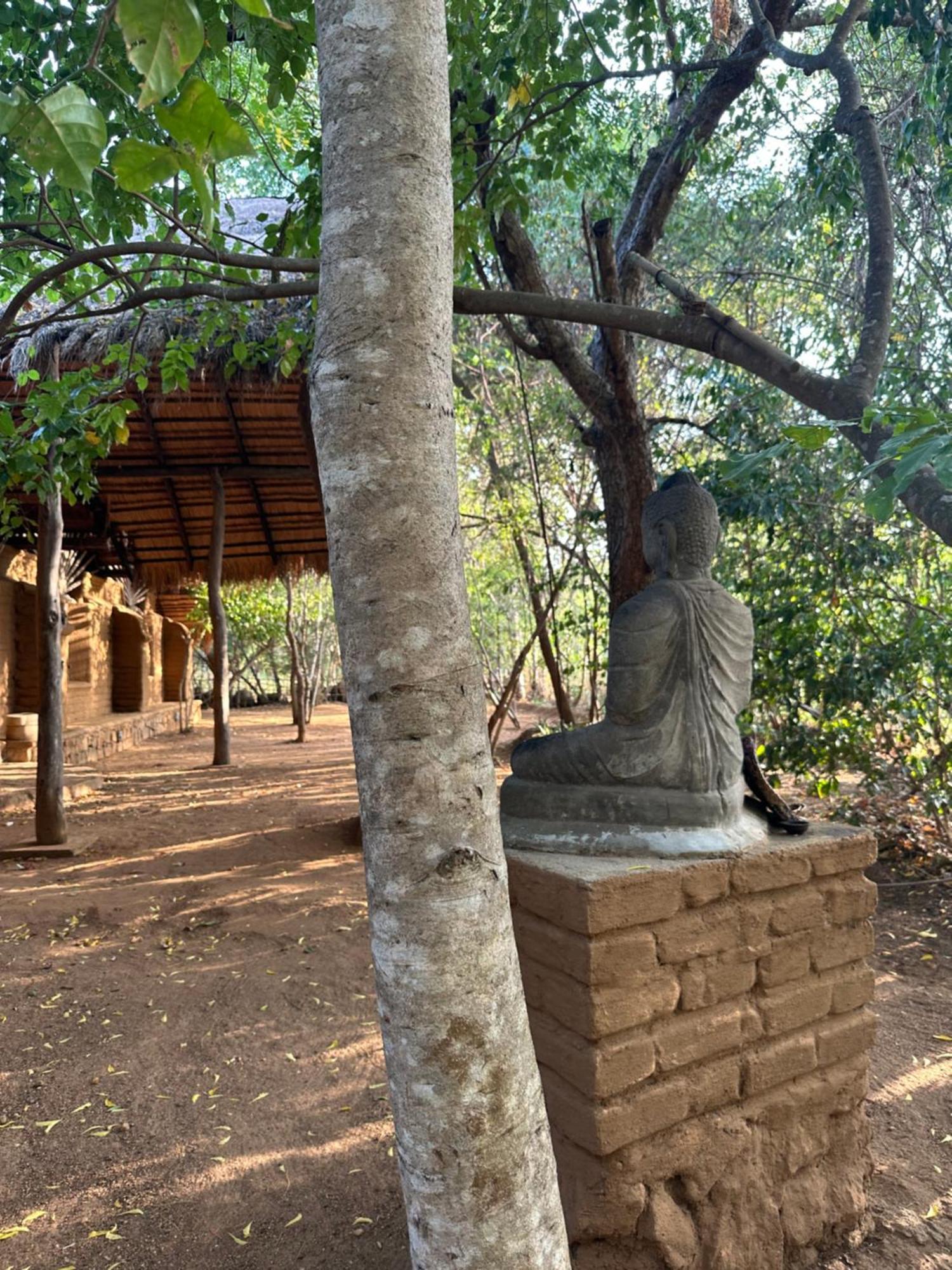 Hotel Athreya Ayurveda Ashram à Habarana Extérieur photo