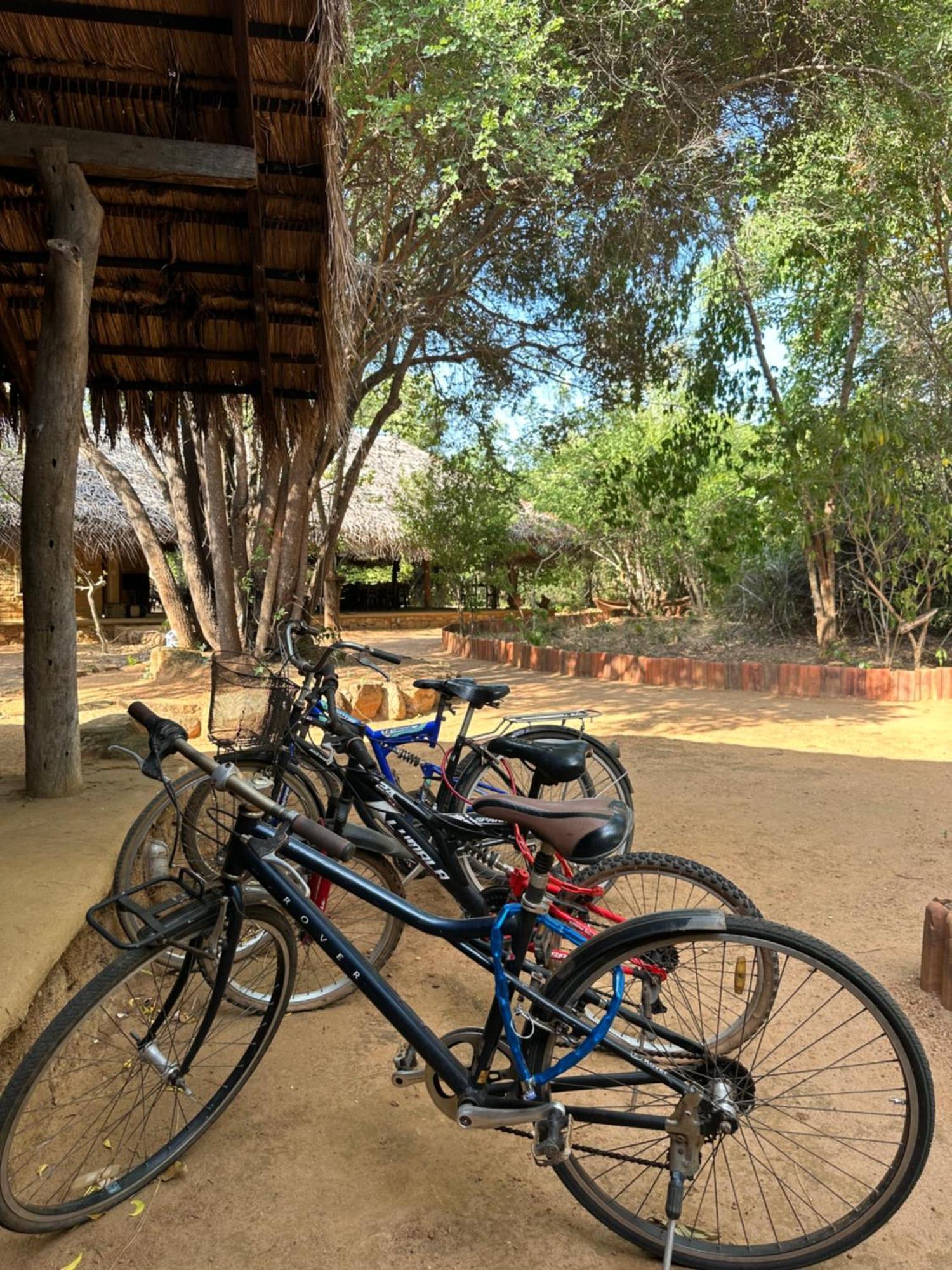 Hotel Athreya Ayurveda Ashram à Habarana Extérieur photo