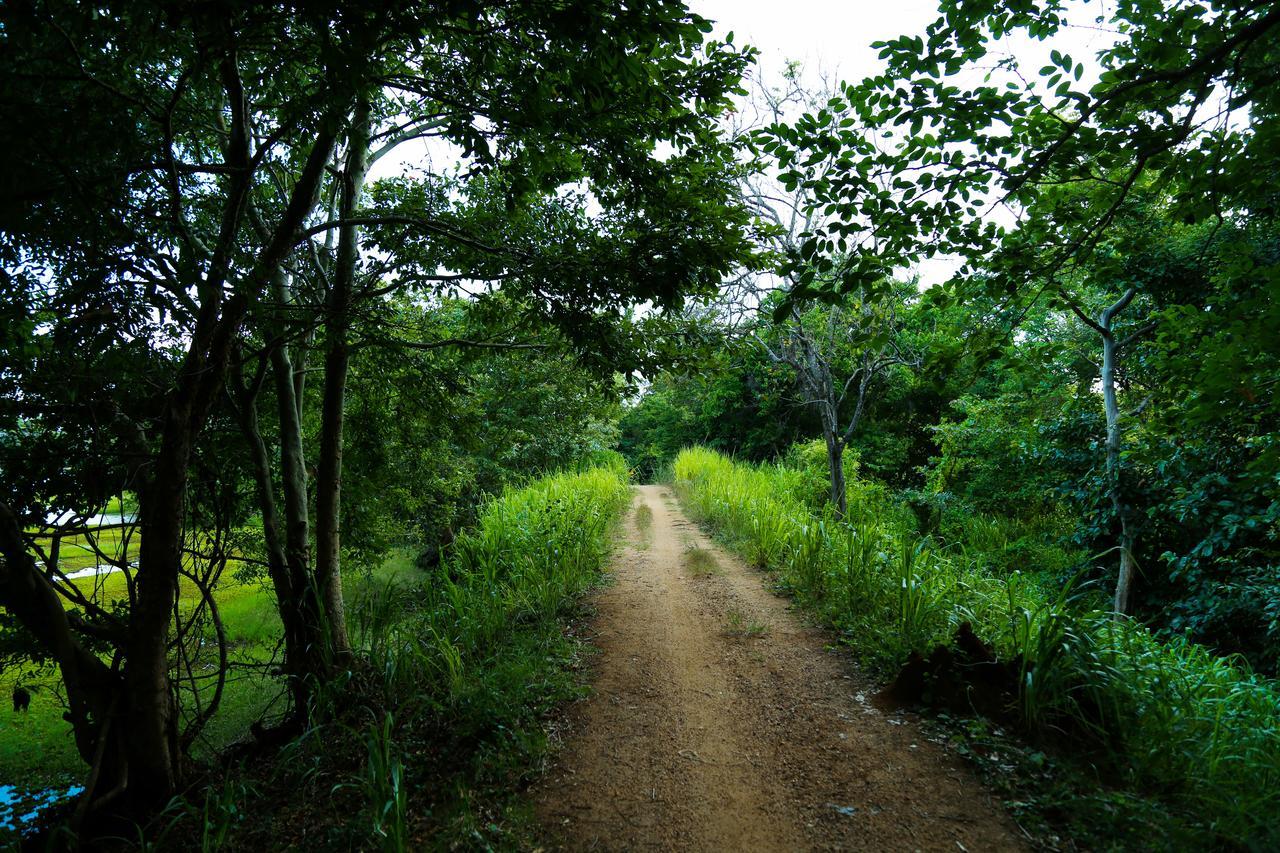 Hotel Athreya Ayurveda Ashram à Habarana Extérieur photo